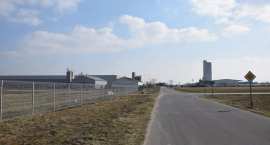 zdjęcie nr 12
