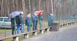 zdjęcie nr 33