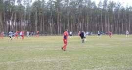 zdjęcie nr 8