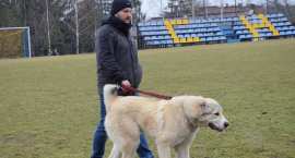 zdjęcie nr 104