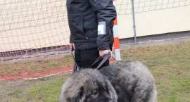 zdjęcie nr 97
