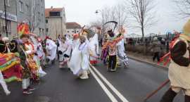 zdjęcie nr 12