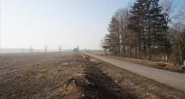 zdjęcie nr 10
