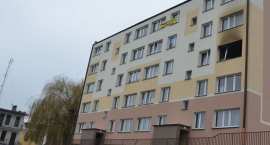 Fotka nr 1 z 3