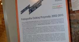 zdjęcie nr 33