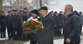 zdjęcie nr 42