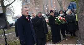 zdjęcie nr 35