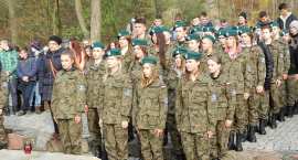 Fotka nr 1 z 12