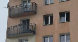 zdjęcie nr 10