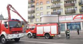 Fotka nr 4 z 19