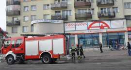 Fotka nr 5 z 19