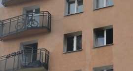 zdjęcie nr 8