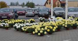 zdjęcie nr 32