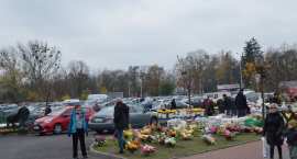 zdjęcie nr 36