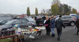 zdjęcie nr 17