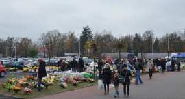 zdjęcie nr 35