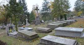 zdjęcie nr 11