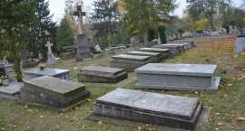 zdjęcie nr 12