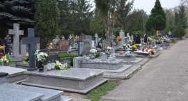 zdjęcie nr 41