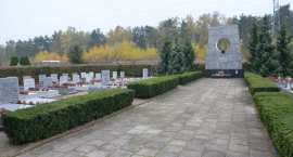 zdjęcie nr 40