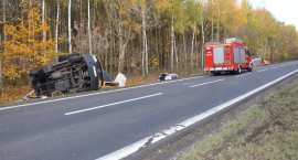 zdjęcie nr 7