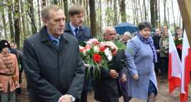 zdjęcie nr 87