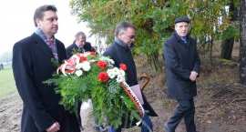 zdjęcie nr 43