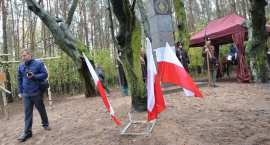 zdjęcie nr 50