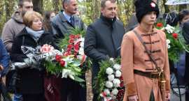 zdjęcie nr 73