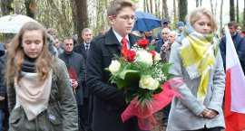 zdjęcie nr 92