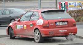 Fotka nr 4 z 14