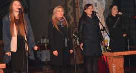 zdjęcie nr 9