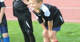 zdjęcie nr 175