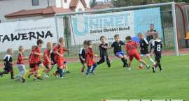 zdjęcie nr 182