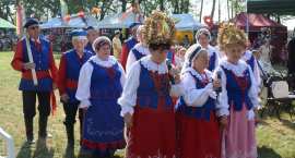 zdjęcie nr 237
