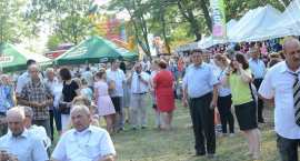 zdjęcie nr 281