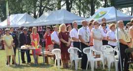 zdjęcie nr 182