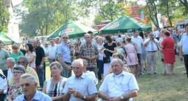 zdjęcie nr 280