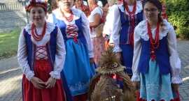 zdjęcie nr 7