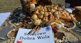 zdjęcie nr 155