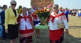 zdjęcie nr 128