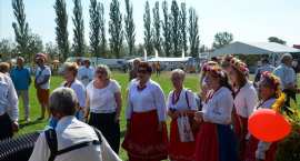 zdjęcie nr 25