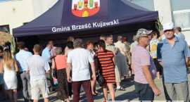 zdjęcie nr 249