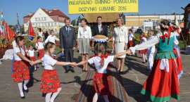 zdjęcie nr 187