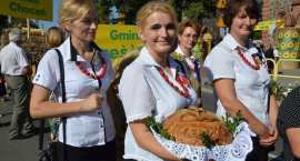 zdjęcie nr 91