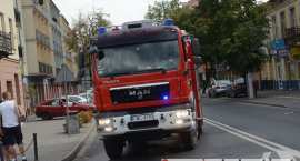 zdjęcie nr 207