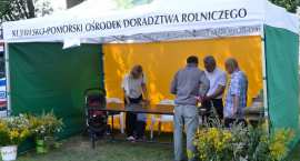 zdjęcie nr 23