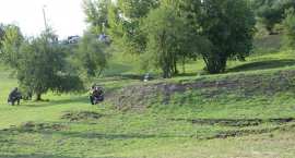 zdjęcie nr 130