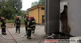 zdjęcie nr 34