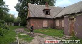 Fotka nr 5 z 34